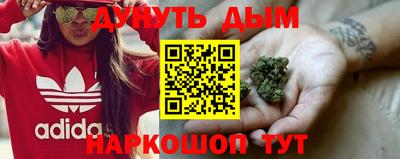 мдпв Заводоуковск