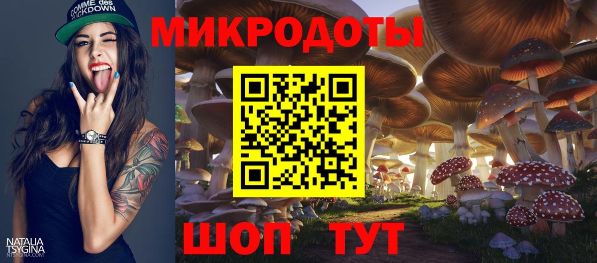 Курчалой  Галлюциногенные грибы прущие грибы  как найти   Вход с VPN 